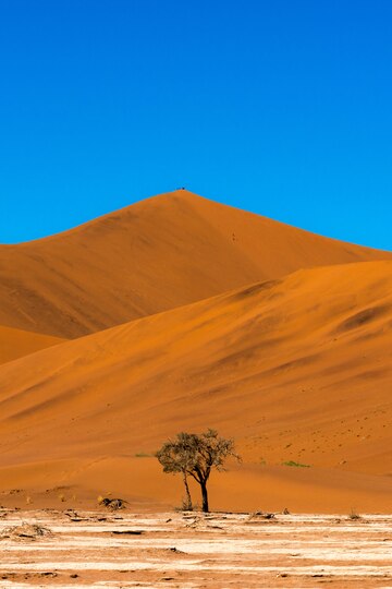 beau-paysage-sable-orange-dune-sable-orange-au-desert-du-namib-dans-parc-national-namib-naukluft-sossusvlei-namibie_1150-21667